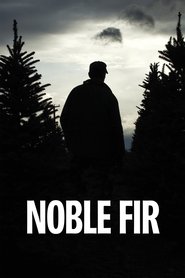 Poster Noble Fir 2014