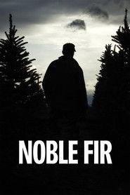 Noble Fir
