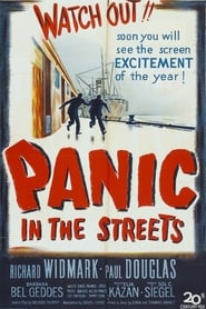 Panic in the Streets постер