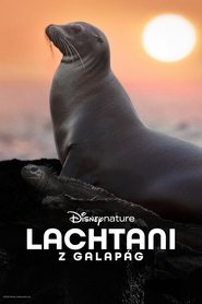 Kde sledovat Lachtani Galapág (2025) online cz/sk dabing