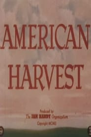 American Harvest