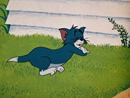 Landing Stripling