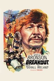 Poster for Breakout