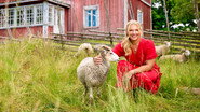 Farmen