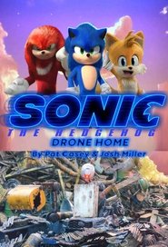 Sonic Drone Home
