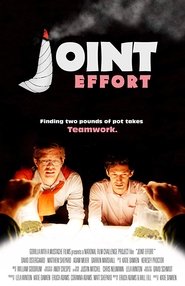 Poster Joint Effort 2013
