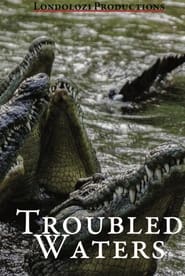 Poster Troubled Waters