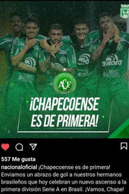 永远的沙佩科恩斯