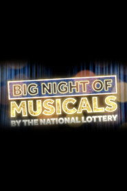 Big Night of Musicals Collection collection poster