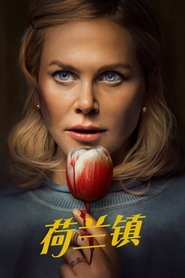 荷兰镇 (2025)