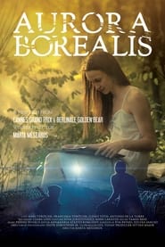 Aurora Borealis: Northern Light постер