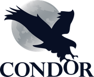 Condor logo