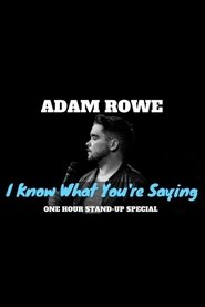 Poster Adam Rowe: I Know What You're Saying 2017