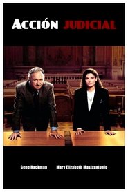 judicial (1991) Class Action
