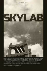 Poster Skylab