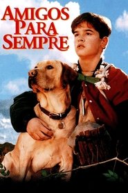 Far from Home: The Adventures of Yellow Dog movie poster player