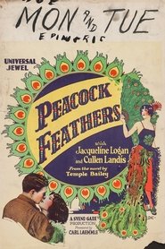 Poster Peacock Feathers