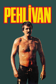 Poster Pehlivan