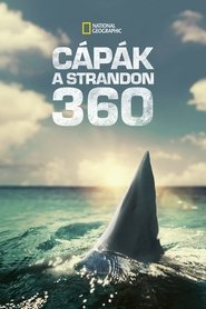 Cápák a strandon 360