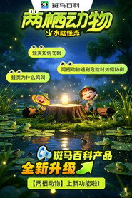 自然万象—两栖动物