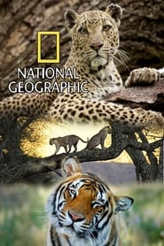 National Geographic Wild streaming af film Online Gratis På Nettet