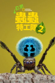 A Real Bug's Life Season 2 21