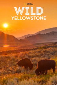 Wild Yellowstone: Fire And Ice