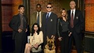 Blind Justice en streaming