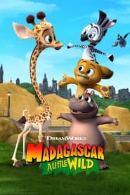 Madagascar: A Little Wild постер