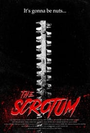 Poster The Scrotum