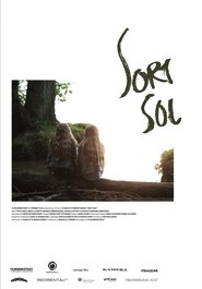 Poster Sort sol