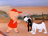 Daffy Duck Hunt
