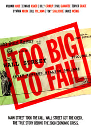 Poster Too Big to Fail 2011