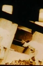 Poster K (Acugher/Acimi) 2008