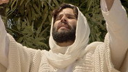Episode 195