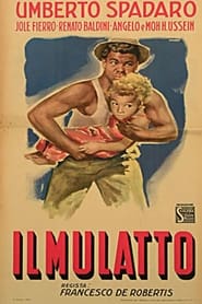 Il Mulatto