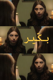 Bakir poster