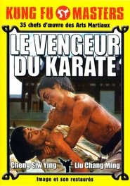 Le Vengeur du karate streaming