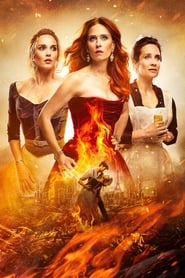 The Bonfire of Destiny poster