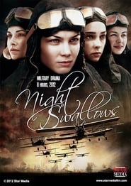 Night Swallows постер