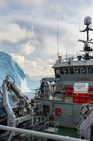 Poster for Fighting the Krill Collapse
