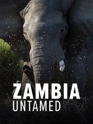 Zambia Untamed (2017)