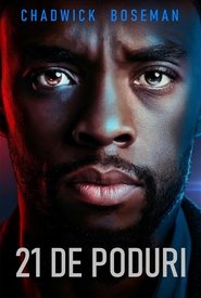 21 de poduri (2019)