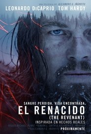 El renacido 2015 On Line Torrent D.D. eMule