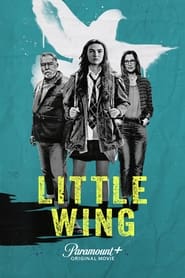 Little Wing постер