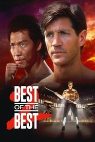 Poster Best of the Best 2 1993