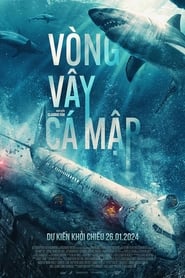 Vòng Vây Cá Mập – No Way Up