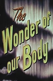 The Wonder Of Our Body