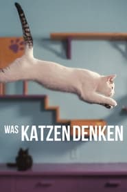 Poster Was Katzen denken