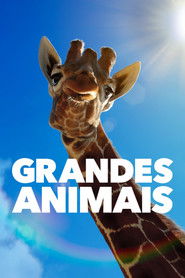 Grandes Animais — Temporada 1